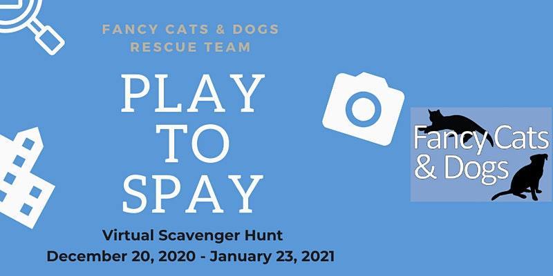 Fancy Cats and Dogs Rescue Team Presents Play to Spay Scavenger Hunt, Virtual Event, United States