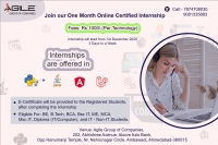 Are you looking for Certified Online Internship in IT Training Courses?