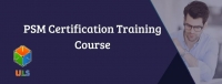 Professional Scrum Master Course in Patna, India