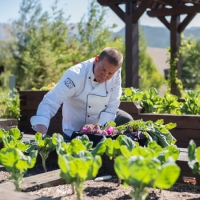 POSTPONED: Restoring Nutrition and Cooking Retreat in Colorado