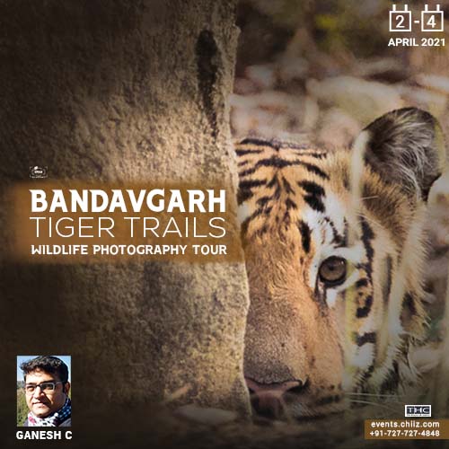 BANDHAVGARH WILDLIFE TOUR, Umaria, Madhya Pradesh, India