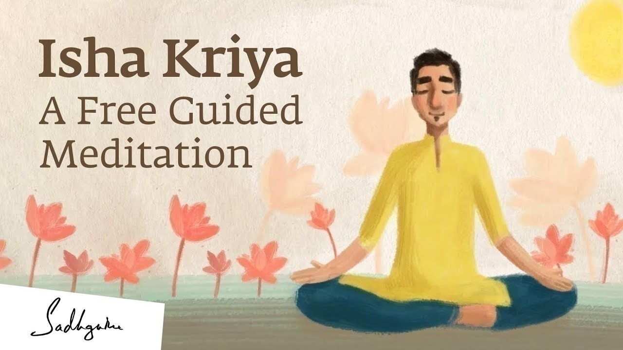 Meditation For Beginners, Online, United States