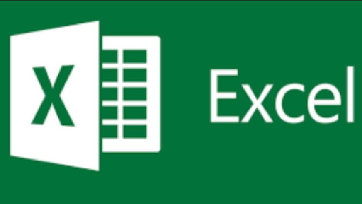 Data Management Analysis and Visualization using Microsoft Excel, Pretoria, Free State, South Africa