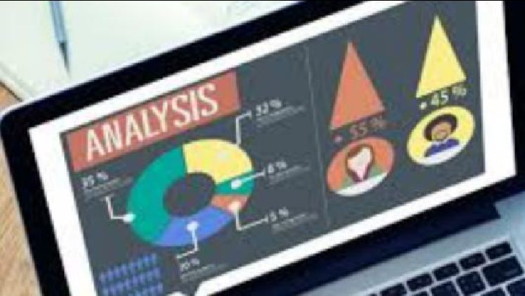 Processing and Analyzing Surveys and Assessments Data using Software, Pretoria, Free State, South Africa