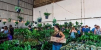 Canberra - Huge Indoor Plant Warehouse Sale - Rumble in the Jungle