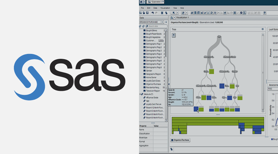 Data Management and Analysis for Quantitative using SAS Course, Lagos City, Lagos, Nigeria