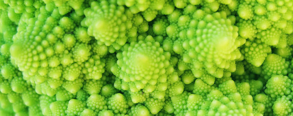 After Dark Online: Fractals, San Francisco, California, United States