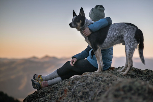 2021 Proud Pet Parent Nomination, Fort Collins, Colorado, United States