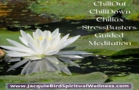ChillOut ChillDown Chillax Renew: StressBusters Guided Meditation