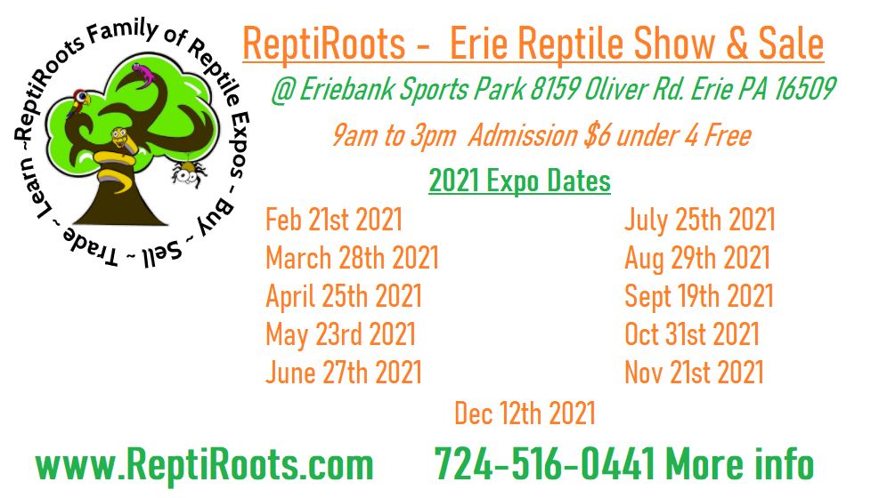 Erie Reptile Show and Sale March 28th 2021, Erie, Pennsylvania, United States