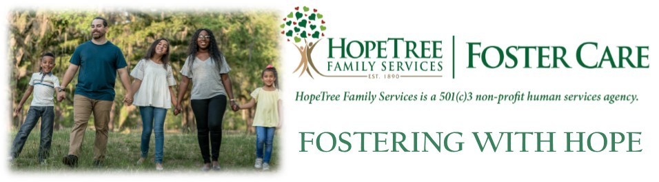 Foster Parent Information Session, Online, United States