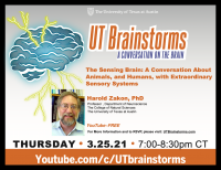UT Brainstorms: A Conversation on the Brain (Virtual)