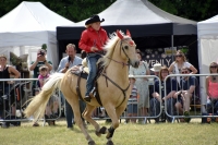 The Framlingham Country Show