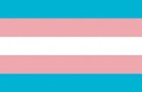 After Dark Online: Transgender Day of Visibility