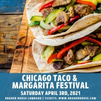 Chicago Taco and Margarita Festival