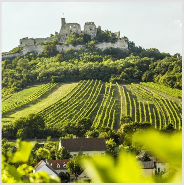 Straight out of Kamptal: An Austrian Wine Journey [March 20], Online, United States