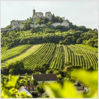 Straight out of Kamptal: An Austrian Wine Journey [March 20]