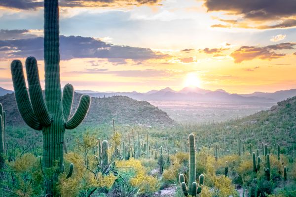 7th Annual Gastroenterology and Hepatology Update and Interactive Live Endoscopy, Phoenix, Arizona, United States