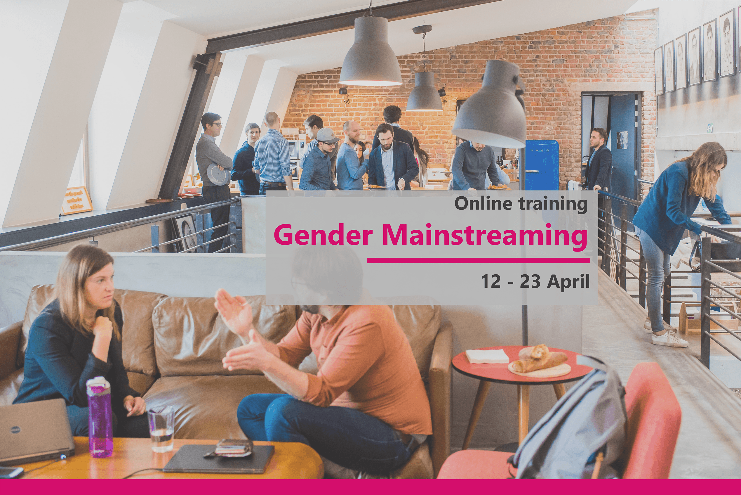 Online training course “Gender Mainstreaming” 12 – 23 April 2021, Online, Netherlands