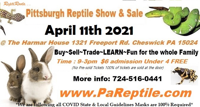 Pittsburgh Reptile Show and Sale April 11th 2021, Cheswick, Pennsylvania, United States
