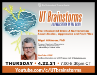 UT Brainstorms: A Conversation on the Brain (Virtual)