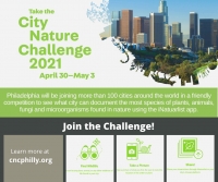 Philadelphia City Nature Challenge 2021