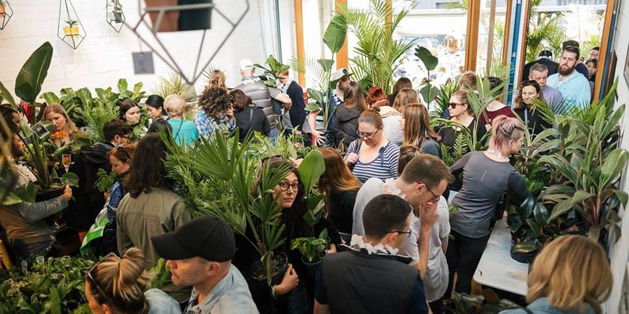 Sydney - Huge Indoor Plant Warehouse Sale - Double Denim, Sydney, New South Wales, Australia