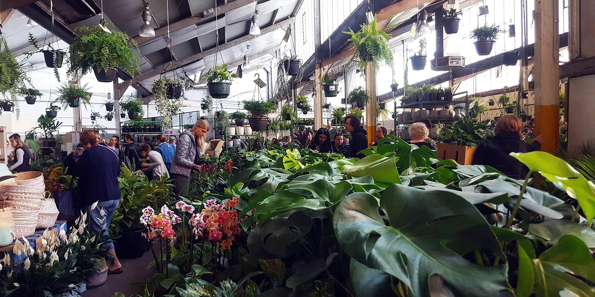 Melbourne - Huge Indoor Plant Warehouse Sale - Safari Party, Melbourne, Victoria, Australia