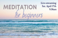 Virtual Meditation for Beginners