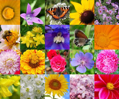 Mother's Day Love Hunt, Washington,Washington, D.C,United States