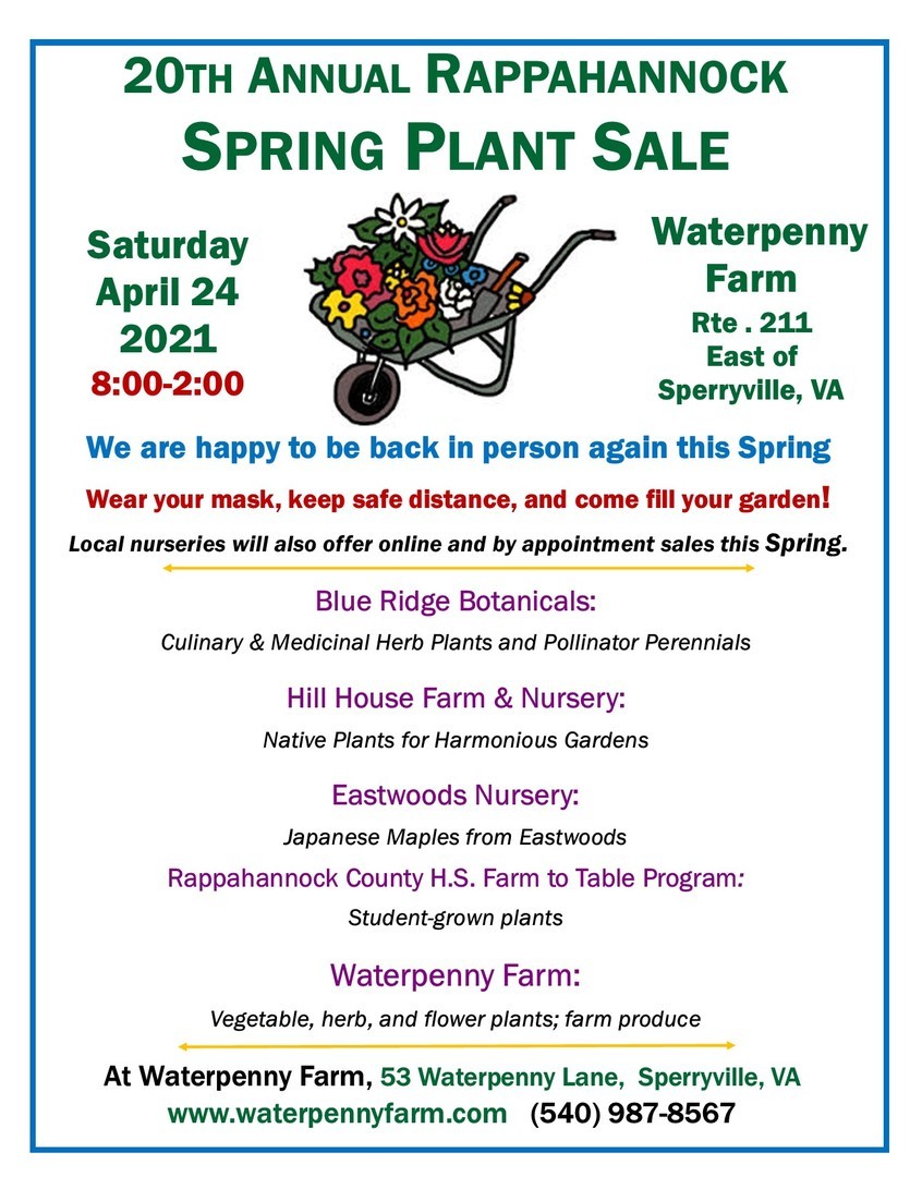 Rappahannock Spring Plant Sale, Sperryville, Virginia, United States
