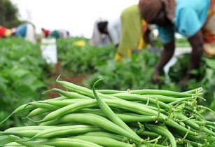 Gender Analysis and Integration in Agriculture Course, Nairobi, Kenya,Nairobi,Kenya