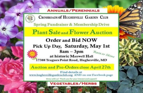 Plant Sale and Flower Auction, Crossroads of Hughesville Garden Club, Online Event, United States