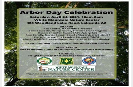 Arbor Day Celebration, Pinetop-Lakeside, Arizona, United States