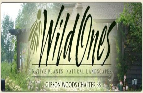 Native Plant Sale, hosted by GW-Wild Ones, Griffith, Indiana, United States