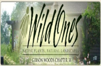Native Plant Sale, hosted by GW-Wild Ones