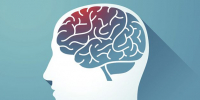 MOOC: Biohacking Your Brain's Health
