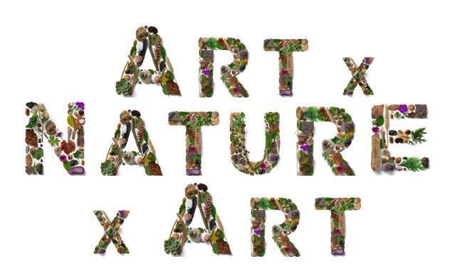 Art x Nature x Art, Pacifica, California, United States