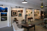 Mott-May Gallery Spring Art Show in Micanopy April 23 through June 20 2021