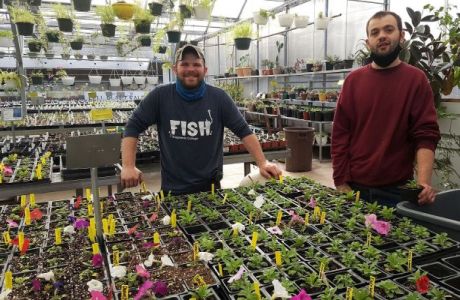Shepherds College Spring Plant Sale, Union Grove, Wisconsin, United States
