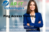 Ping Access Training | Ping Access Corporate Training - ARIT
