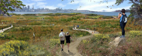 After Dark Online: Transitional Landscapes
