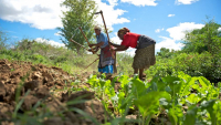 Training on Establishing and Strengthening Farmer Organizations