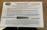 Yard Sale and Plant Sale