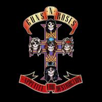 The Guns N' Roses Experience