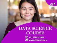 ExcelR-Data Science Course In Pune