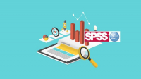 Methodology and Software for Processing and Analyzing surveys and Assessments data (SPSS/Stata/Excel/ODK)
