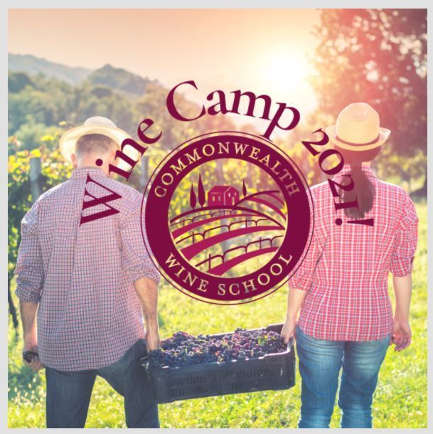 Wine Camp 2021! [Aug 9, 10, 11, 12, 13], Cambridge, Massachusetts, United States