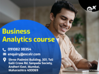 Business Analytics Course