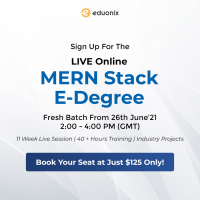 Live Online Training- MERN Stack E-Degree